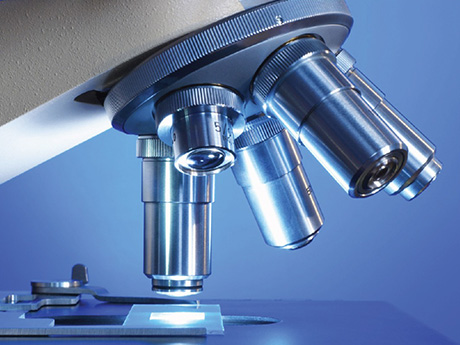 fluorescent microscope